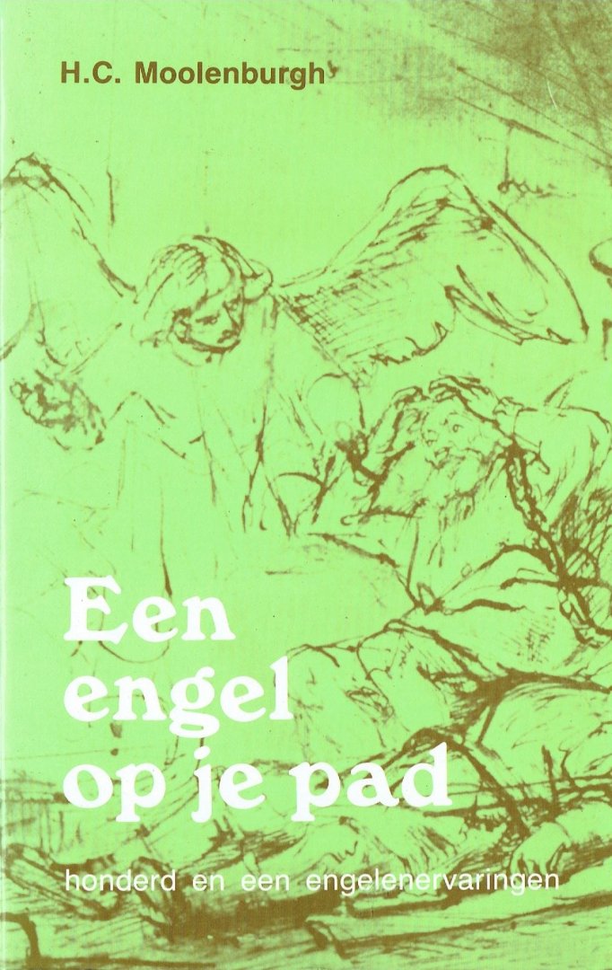 Een engel op je pad / honderd en een engelenervaringen