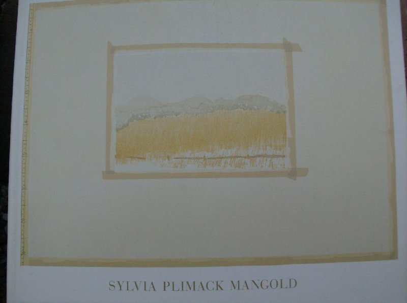 Faberman, Hilarie/ Ellen G.D'Oench - Sylvia Plimack Mangold.  -  works on paper 1968-1991