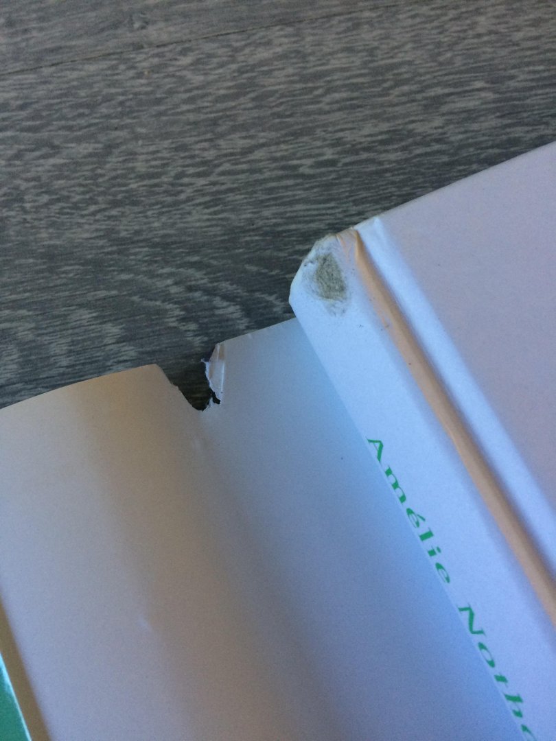 Nothomb, A. - De verloofde van Sado