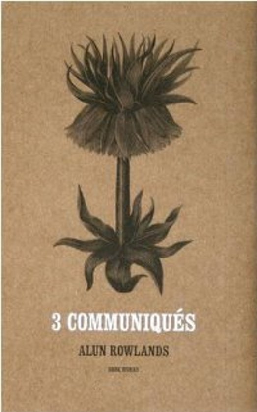 Rowlands, Alun - Alun Rowlands - [Three]  3 Communiqués