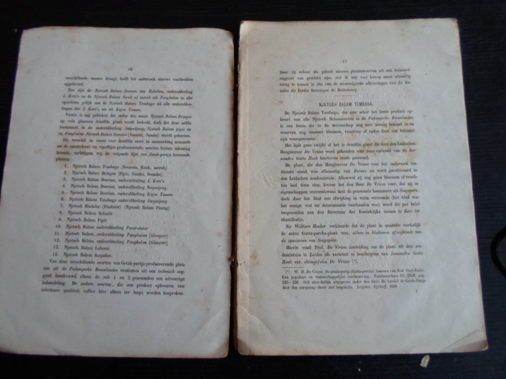Burck, Dr.W. - Mededeelingen uit ’s lands Plantentuin, I Rapport omtrent een onderzoek naar de Getah-pertjaproducerende boomsoorten in de Padangsche Bovenlanden