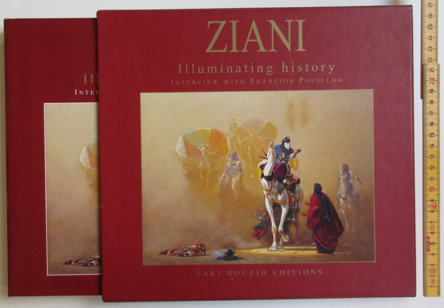 Ziani - Illuminating history