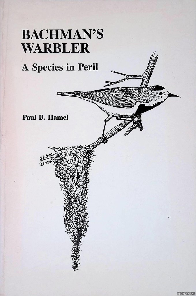 Hamel, Paul B. - Bachman's Warbler: A Species in Peril