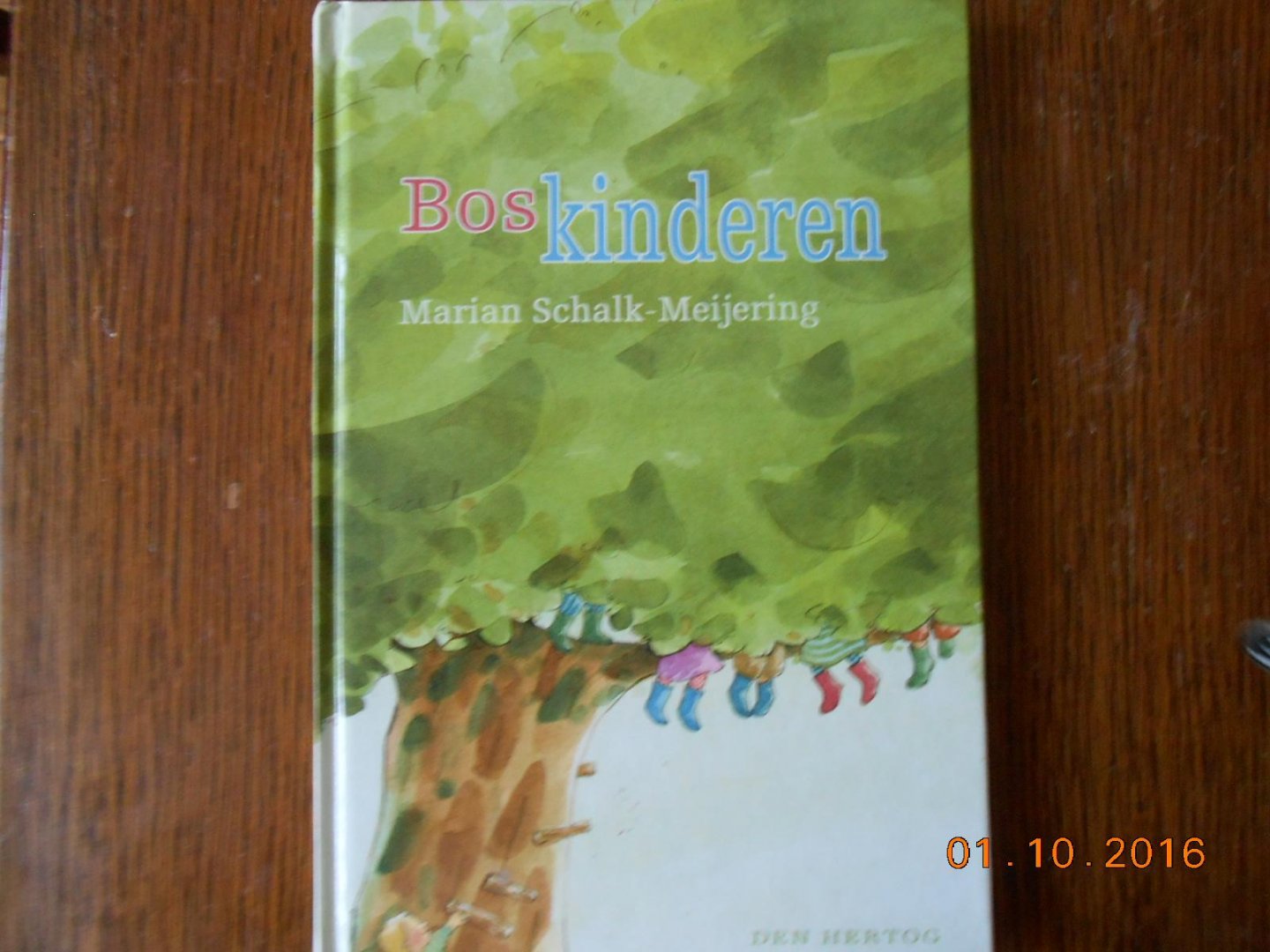 Schalk-Meijering, M. - Boskinderen