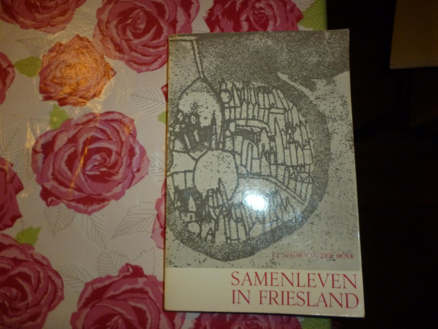 spahr van der hoek j j - samenleven in friesland