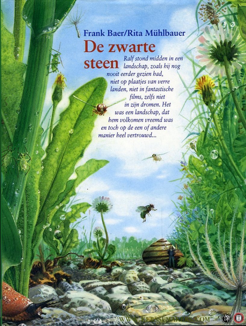 Baer, Frank / Mühlbauer, Rita - De zwarte steen