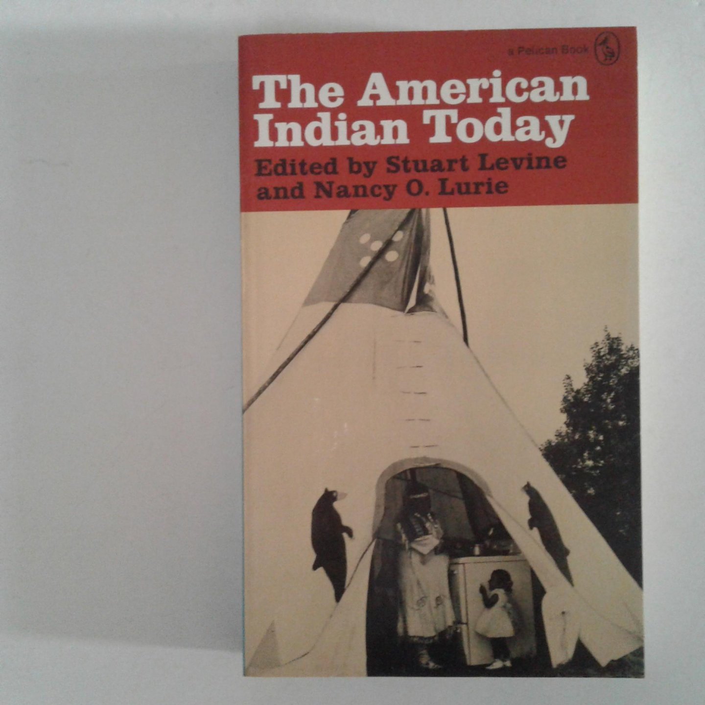 Levine, Stuart ; Lurie, Nancy O. - The American Indian Today