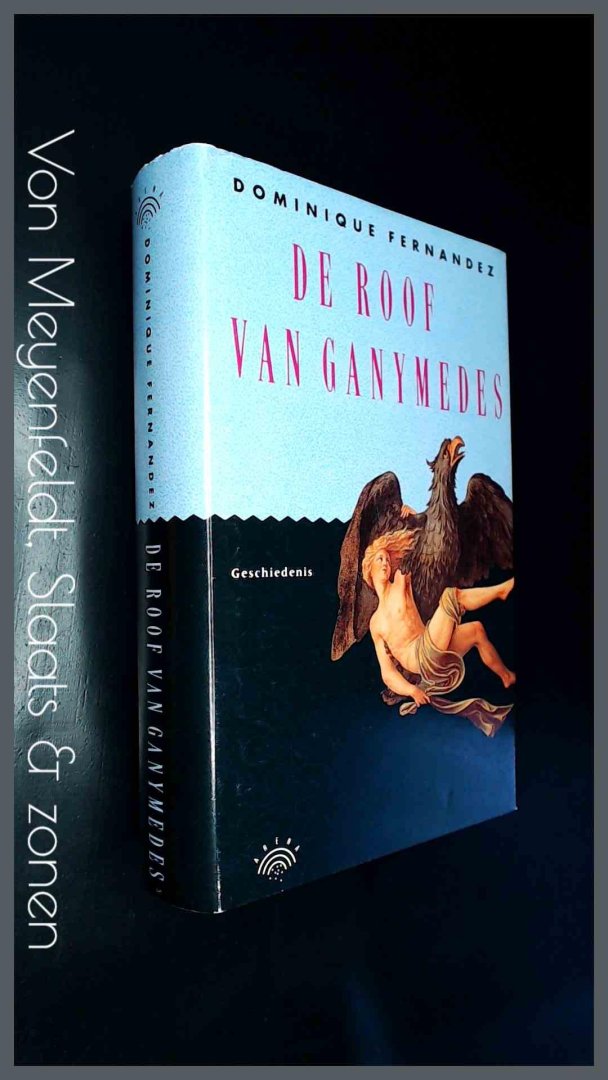 Fernandez, Dominique - De roof van Ganymedes