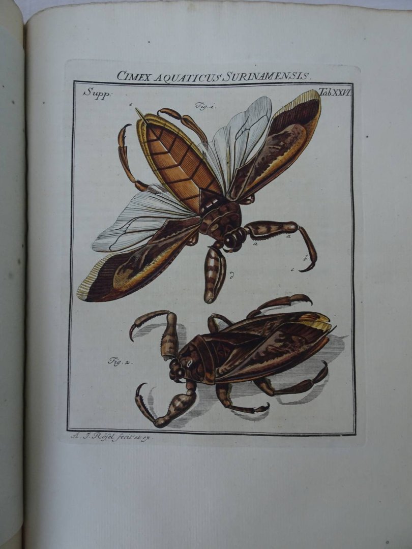 Rösel von Rosenhof, August Johan and C.FC. Kleemann. - De natuurlyke historie der insecten. Voorzien met naar `t Leven getekende en gekoleurde Plaaten. Volgens eigen ondervindling beschreeven, door de Heer August Johann Rösel, van Rosenhof, Miniatuur-Schilder. Met zeer nutte en fraaie Aanmerkingen...