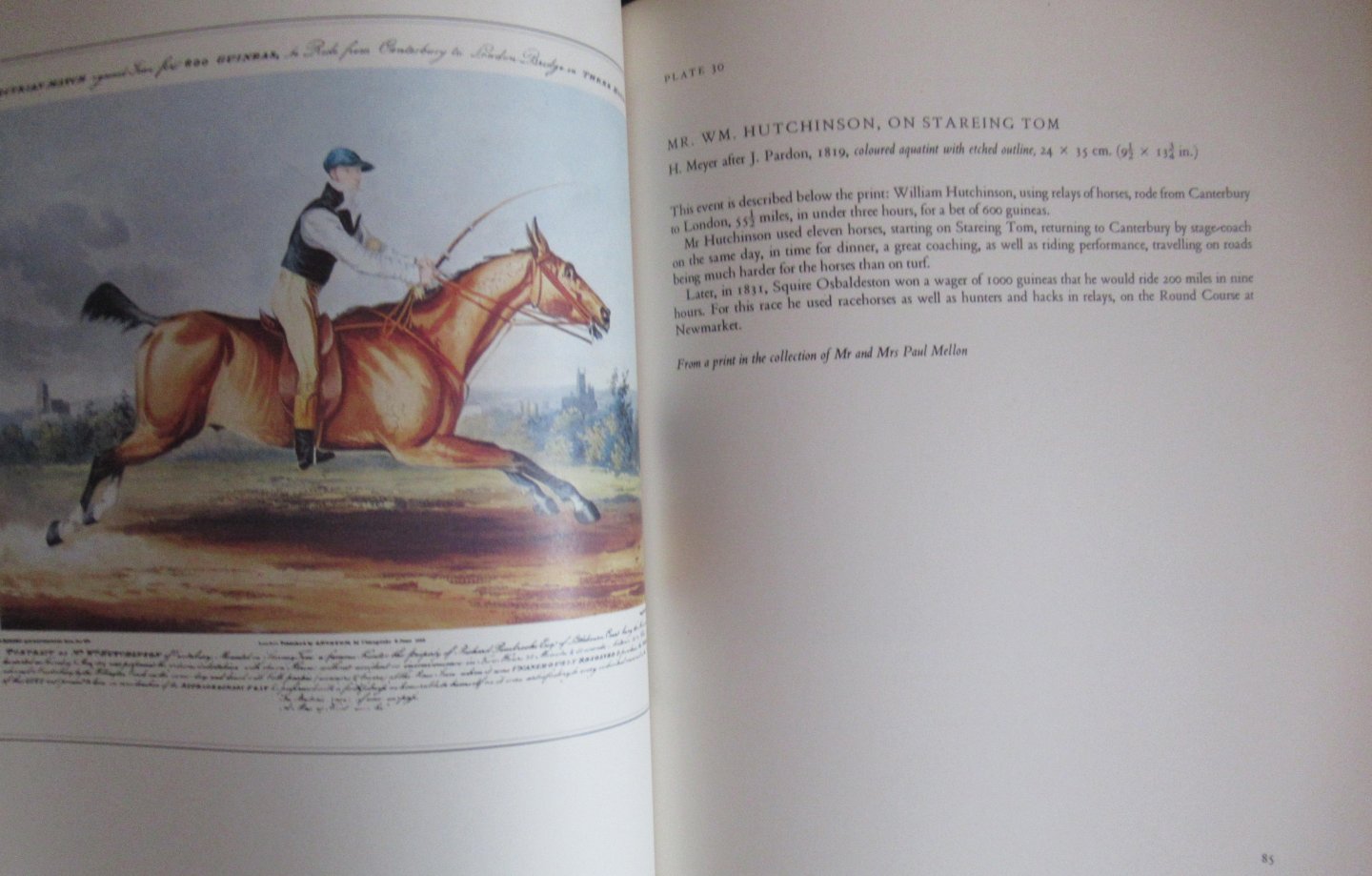 Wilder, F.L. - English Sporting Prints