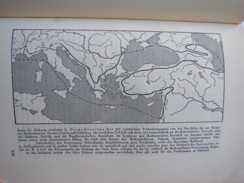 Rikli, Prof. Dr. M. - Das Pflanzenkleid der Mittelmeerländer deel 1, 2 en 3
