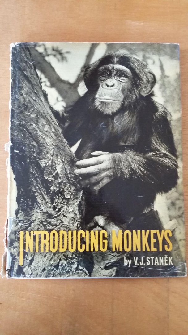 V.J.Stanek - Introducing Monkeys