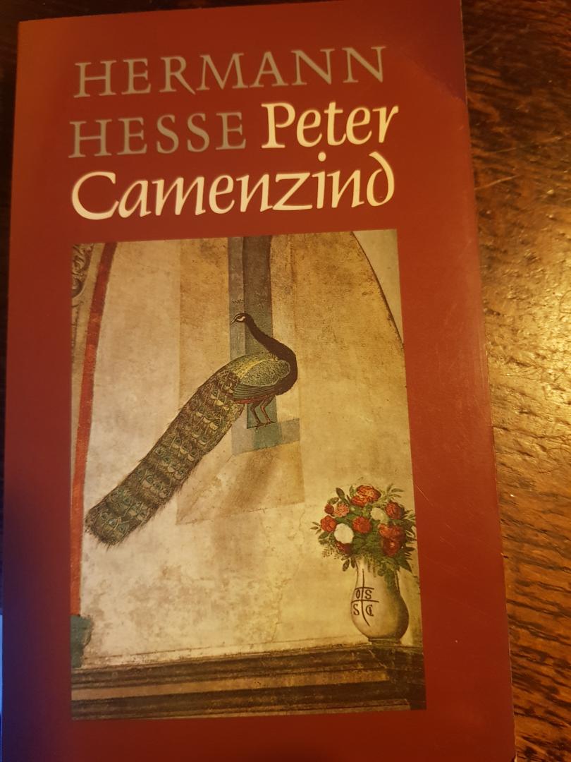 Hesse, Herman - Peter Camenzind