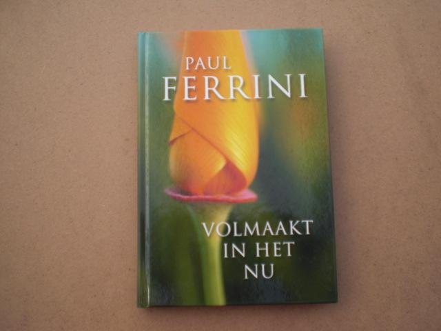 Ferrini, P. - Volmaakt in het nu