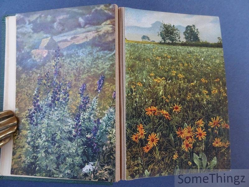 Josef Ostermaier. - Gehes Arzneipflanzenkarten. Nach Original-Aufnahmen von Josef Ostermaier. Buchausgabe der abgeschlossenen Sammlung (Folgen 1 bis 20).