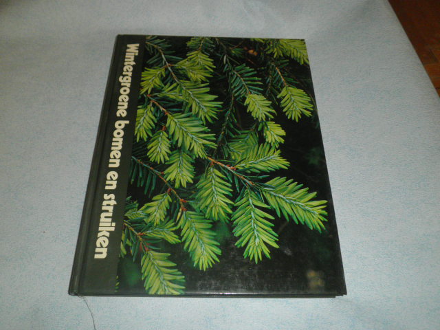 red - Wintergroene bomen en struiken, Time-Life plantenencyclopedie