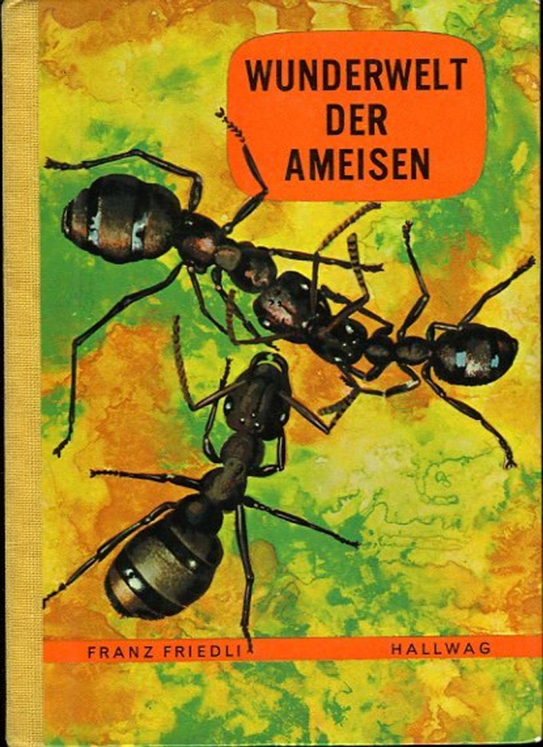 FRIEDLI, Franz - Wunderwelt der Ameisen