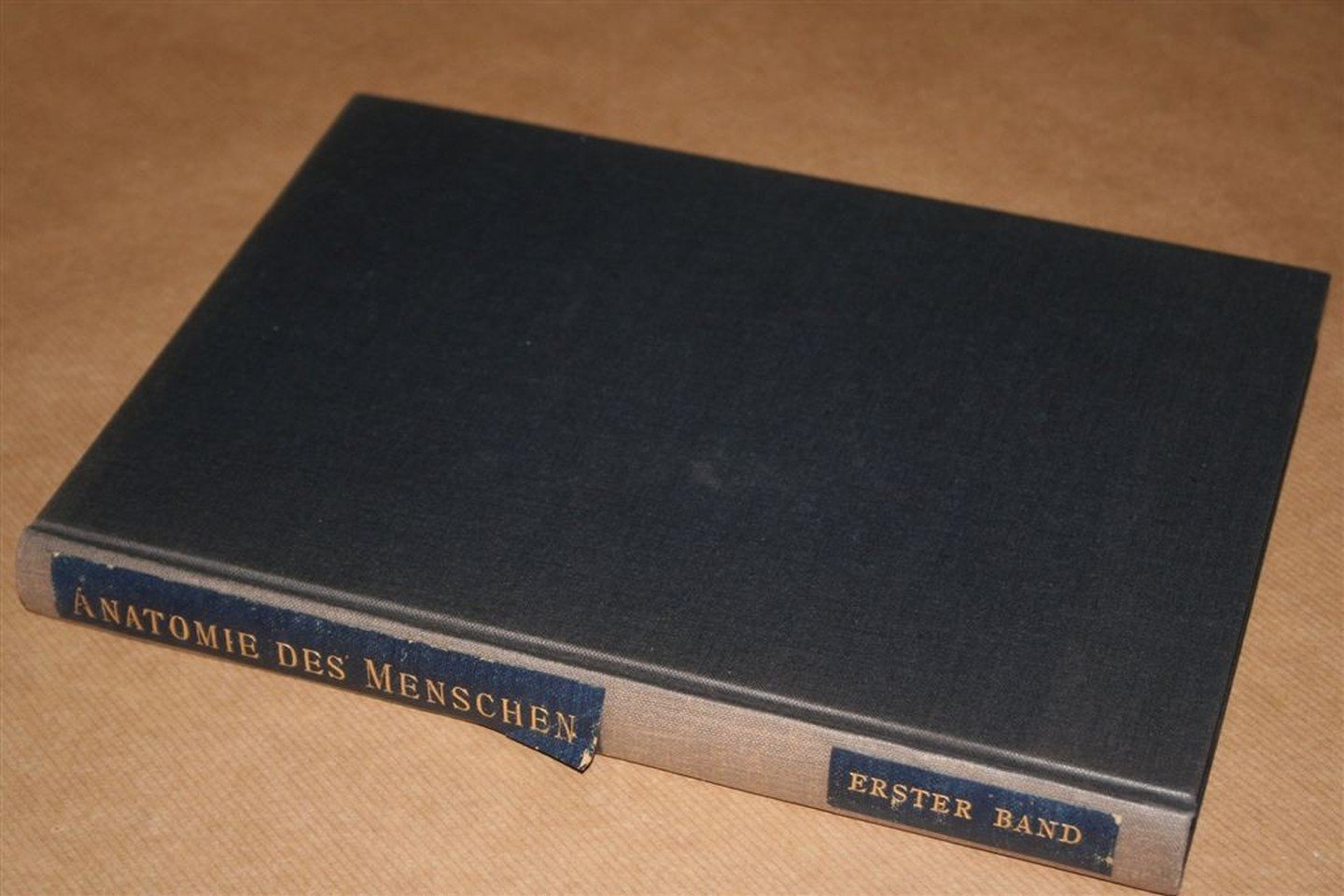 Werner Spalteholz, Wilhelm His - Handatlas der Anatomie des Menschen — Band. 1. Knochen, Gelenke, Bänder — Mit unterstützung von Wilhelm His