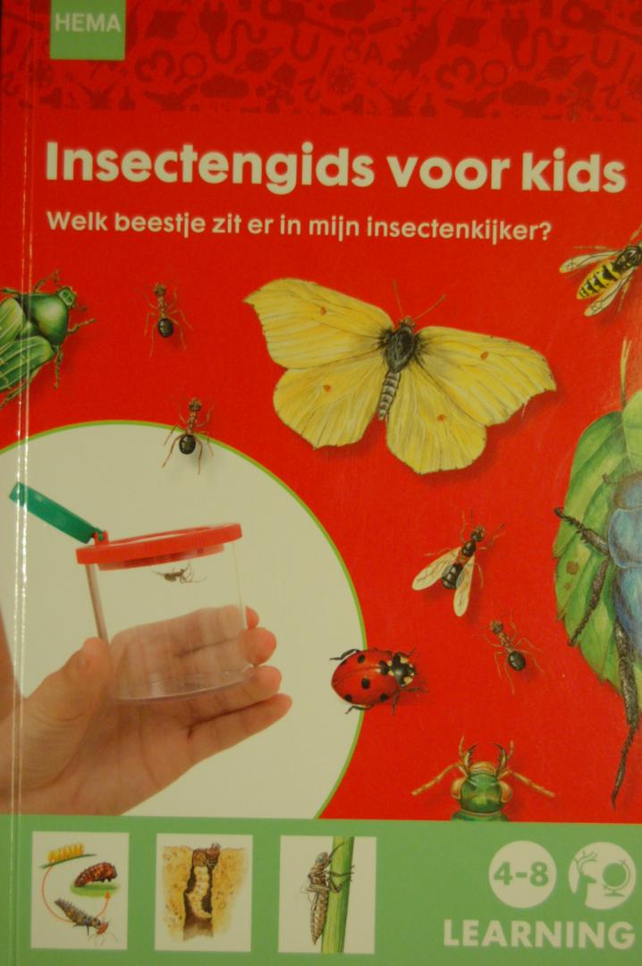 Brin, Antoine & Lionel Valladares - Insectengids voor kids. Welk beestje zit er in mijn insectenkijker?