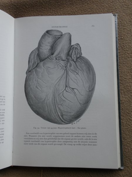 Formijne, P. - Leerboek der algemene pathologie. Hoogleraar aan de universiteit van Amsterdam