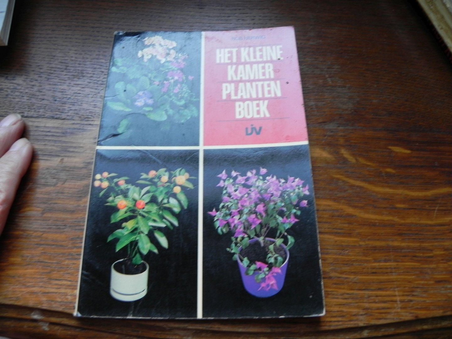 Rob Herwig - Het kleine kamerplantenboek