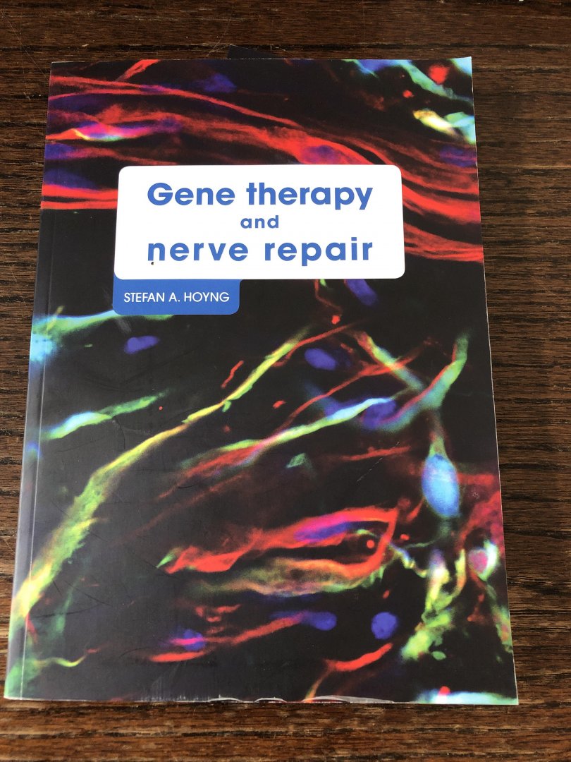 Stefan A. Hoyng - Gene therapy and nerve repair