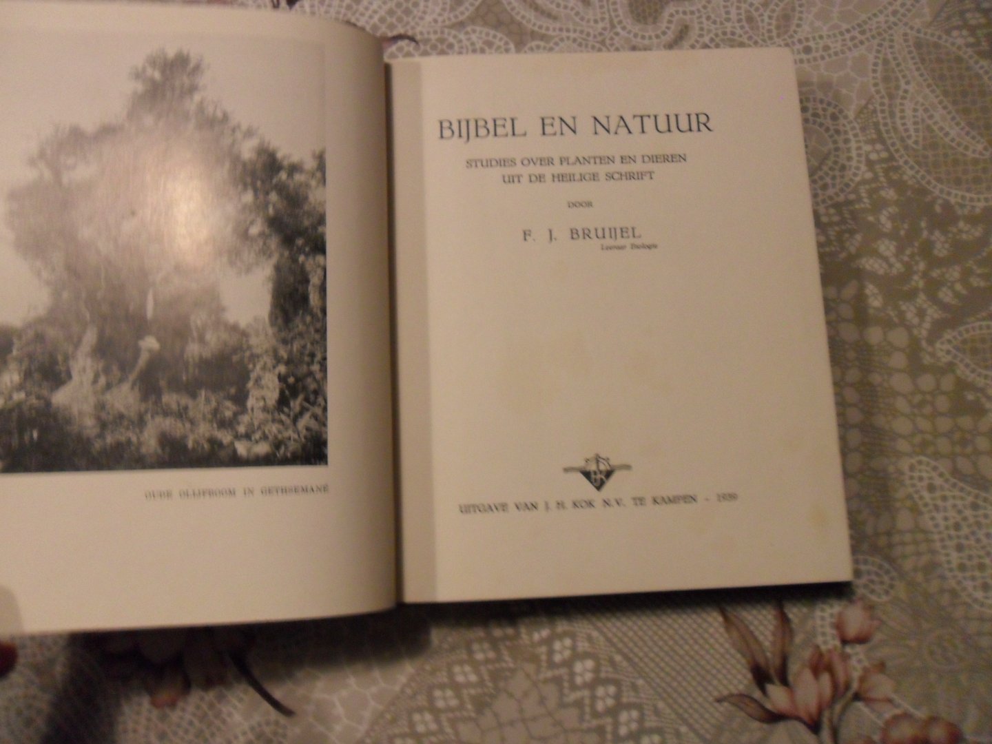 Bruijel F.J. - Bijbel en natuur