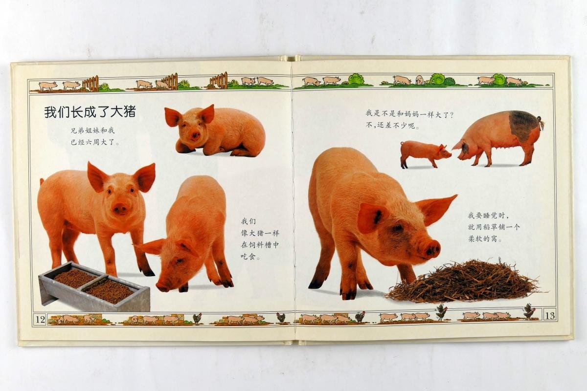 Ling, Mary - See how they grow: pig (Chinese versie!) ( 3 foto's)