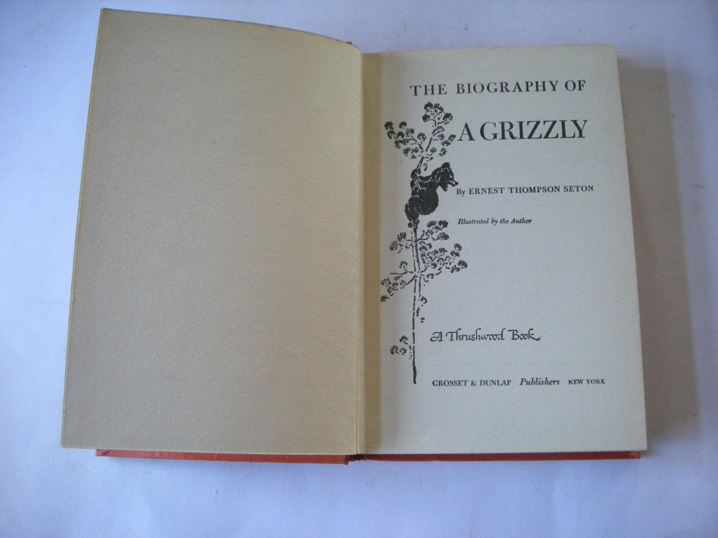 Thompson Seton, Ernest, text and illustr. - The Biography of a Grizzly