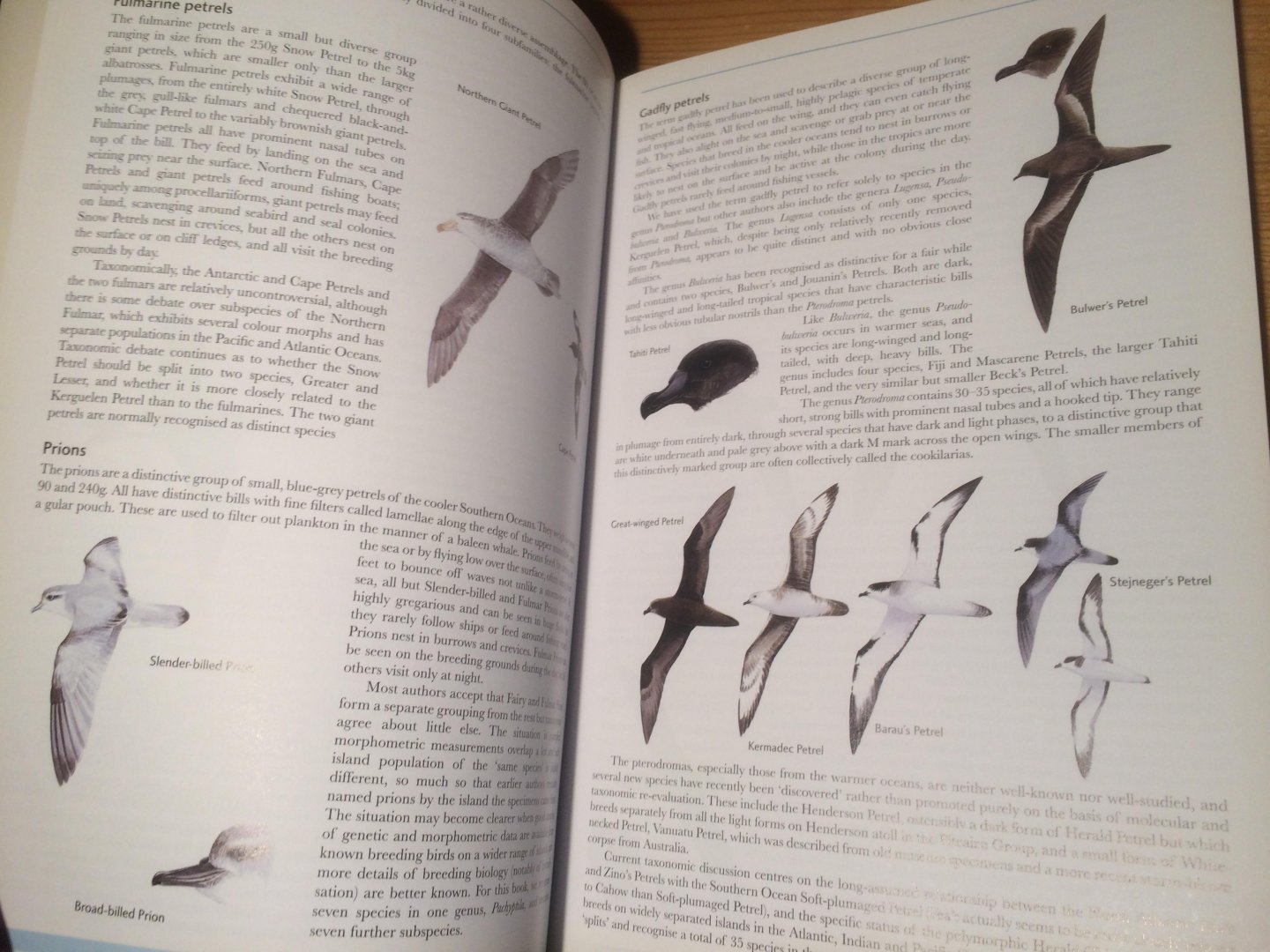 Onley, Derek & Paul Scofield - Albatrosses, Petrels and Shearwaters of the World