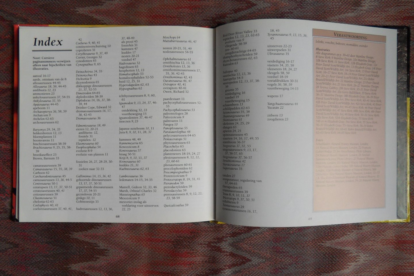 Johnson, Jinny. - De prehistorie verklaard. - Een beginnersboek over de wereld van de dinosaurussen.