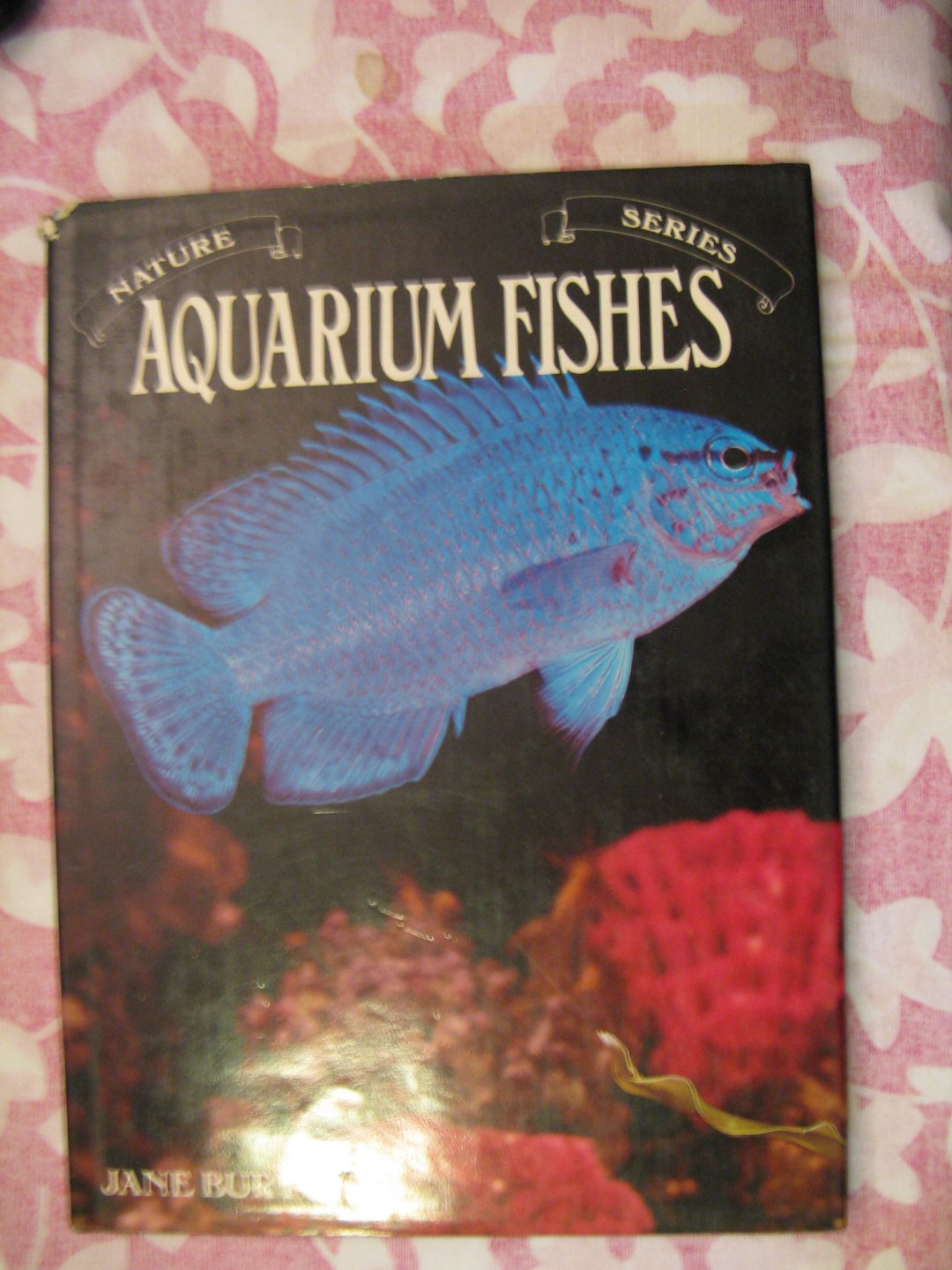 Jane burton - Aquarium fishes