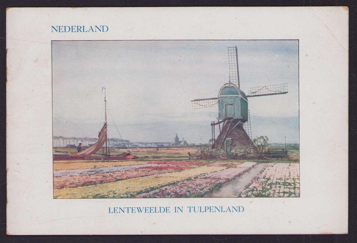 n.n - Nederland - Lenteweelde in Tulpenland