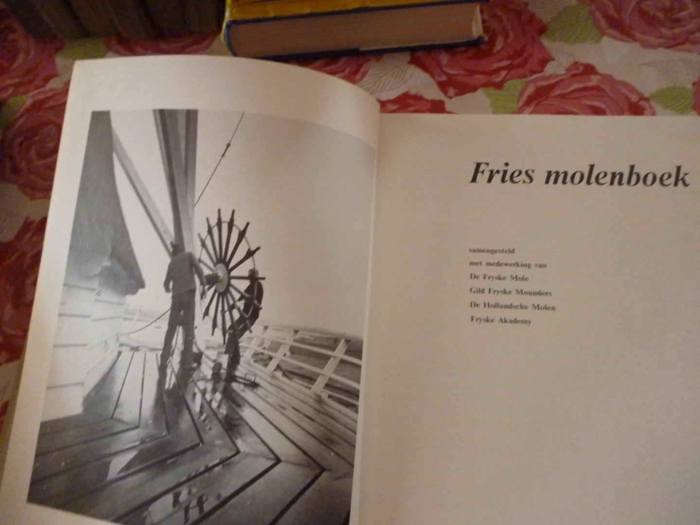 de fryske mole   e.a. - fries molenboek