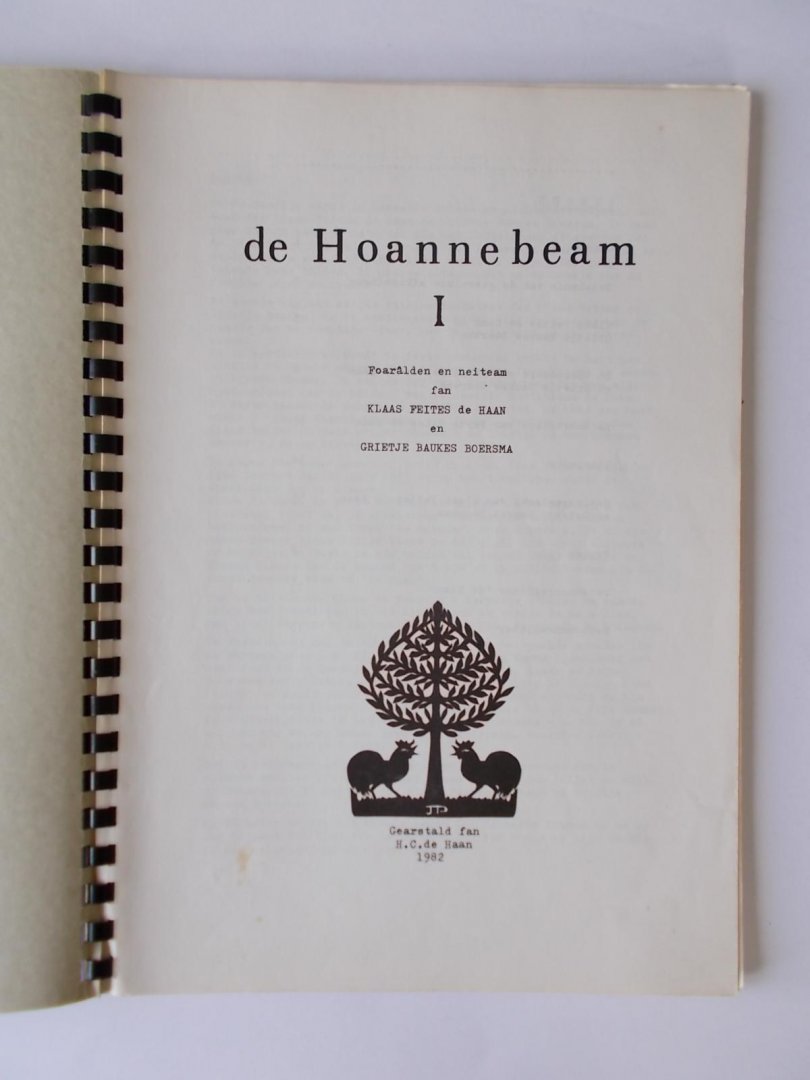 De Haan, H.C. - IRNSUM gem. Rauwerderhem - DE HOANNEBEAM - Foaralden en neiteam/Voorouders en nageslacht