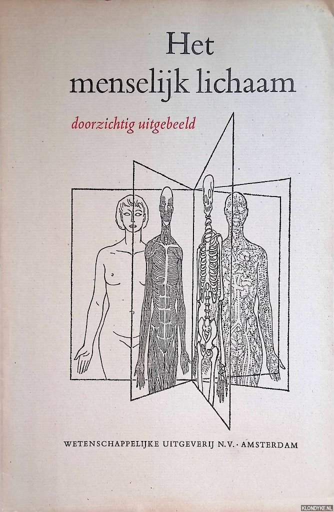 Niessing, prof.dr. K. (ontwerp) & Frans Masur (tekeningen) - Het menselijk lichaam doorzichtig afgebeeld