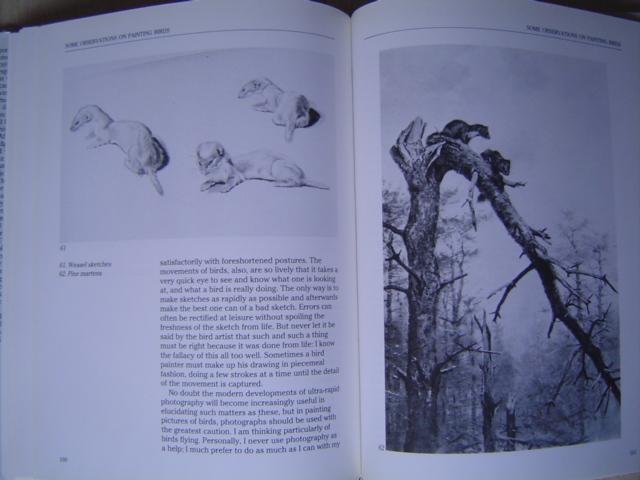 John Savory - George Lodge artist naturalist