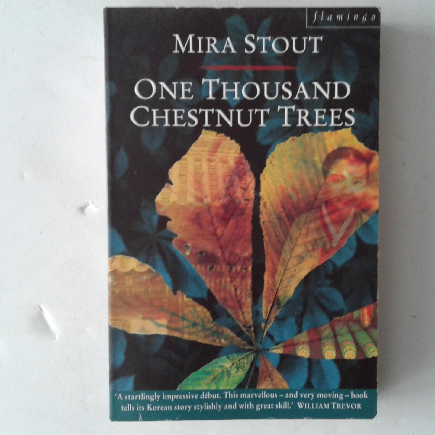 Stout, Mira - One Thousand Chestnut Trees