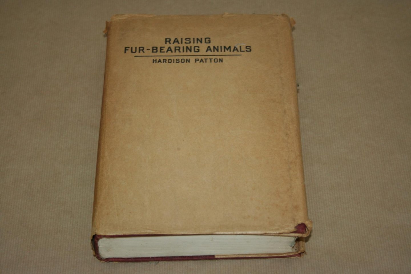 H. Patton - Raising fur-bearing animals