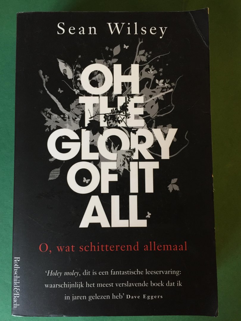 Wilsey, S. - O, wat schitterend allemaal / oh the glory of it all