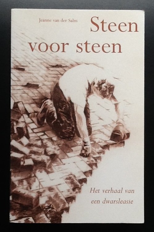 Salm, Jeanne van der - Steen voor steen  Het verhaal van een dwarslaesie