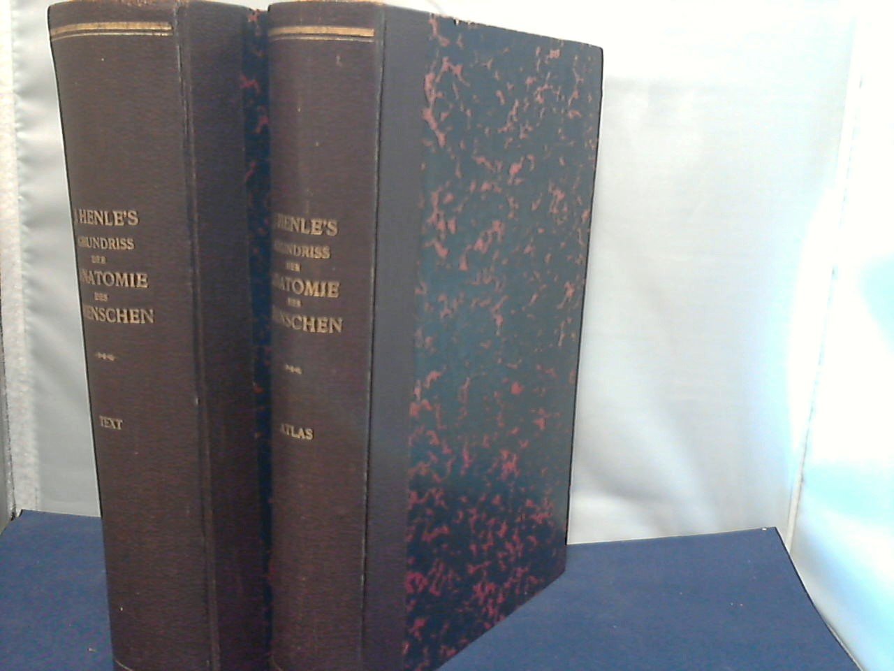 Merkel Fr.  Dr. - J.Henle ,s grundriss der Anatomie des menschen