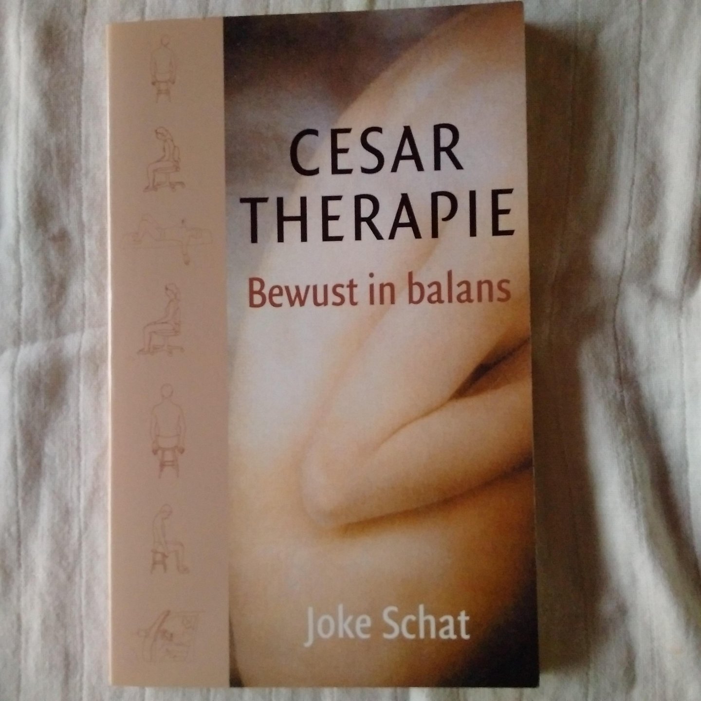 Schat, Joke - Cesar therapie. Bewust in balans