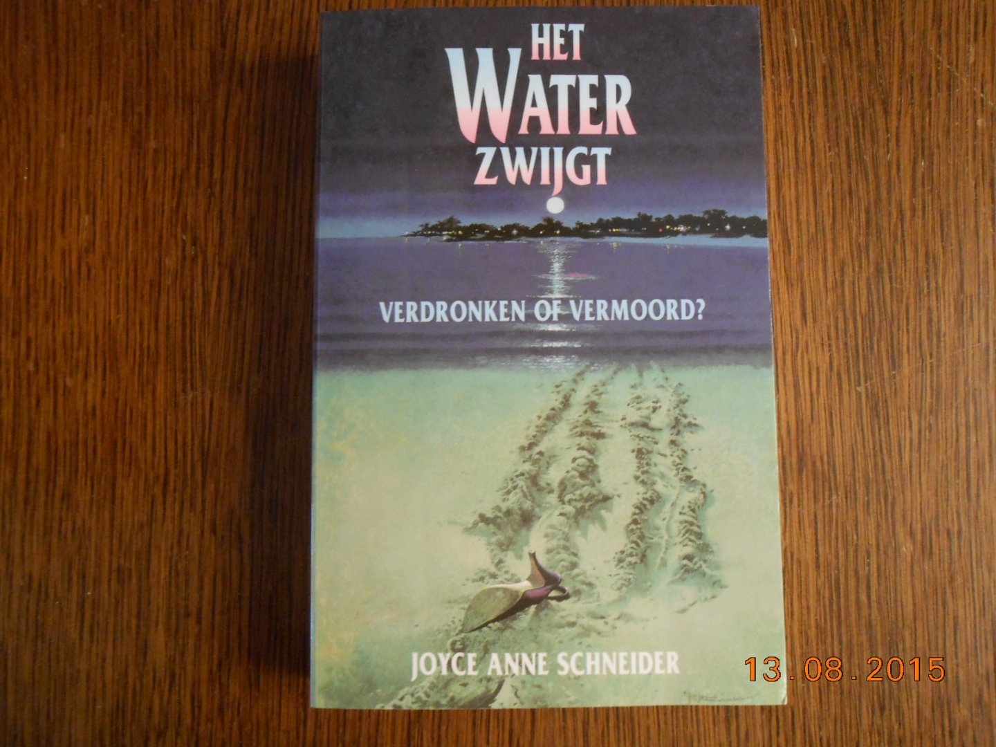 Schneider Joyce Anne - Het water zwijgt