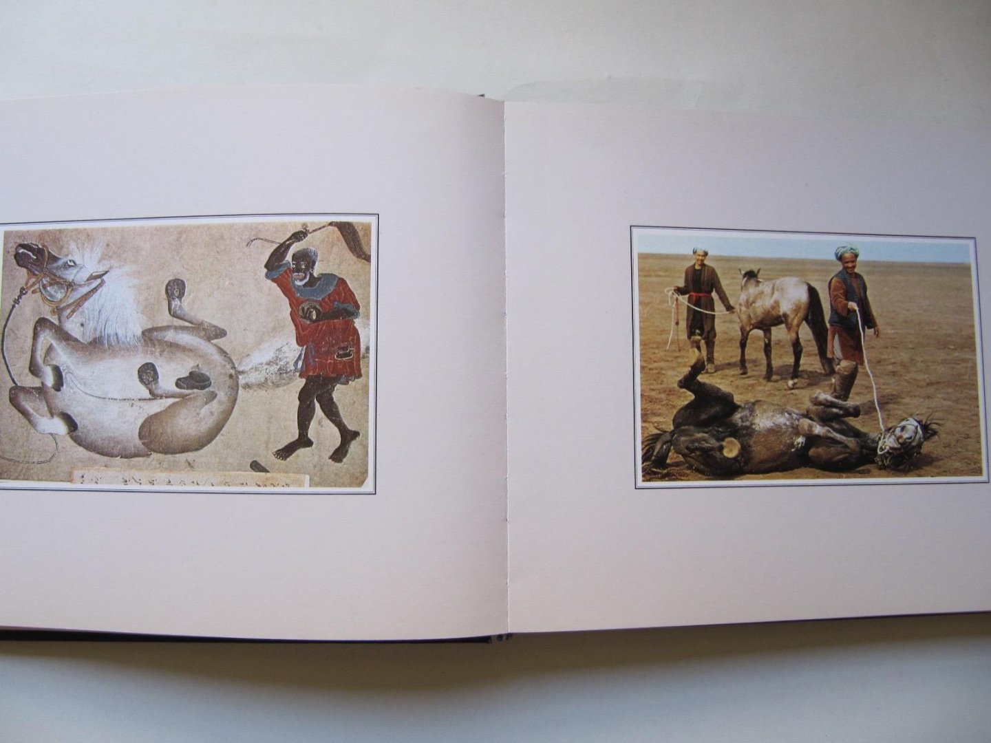 Roland et Sabrina Michaud - L'Orient dans un Miroir