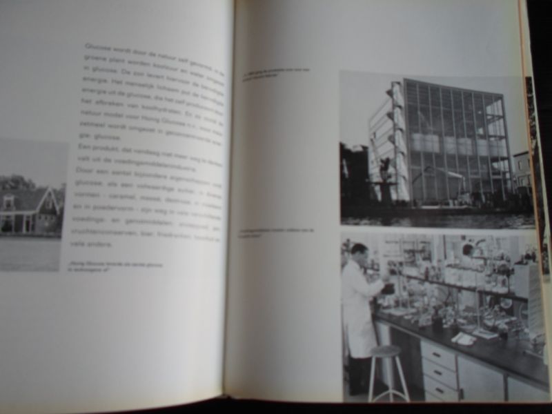 Gedenkboek - Honig, 100 jaar, Van Stijfselhuis tot wereldomspannende onderneming