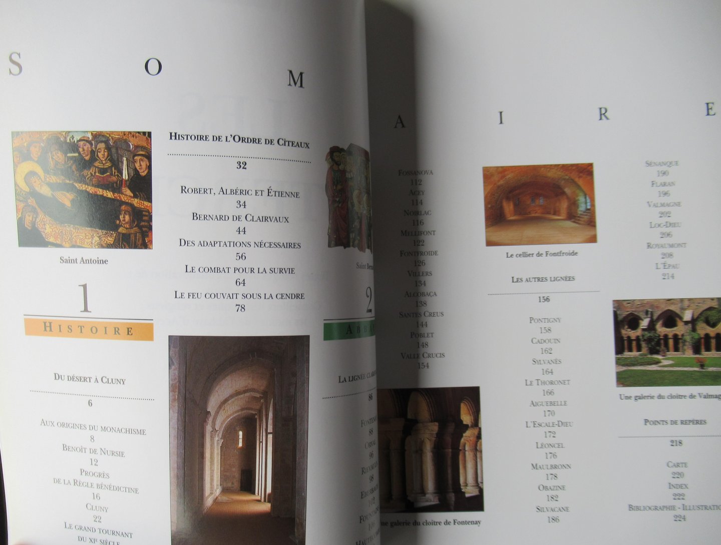 Roux, Julie e.a. - Les Cisterciens