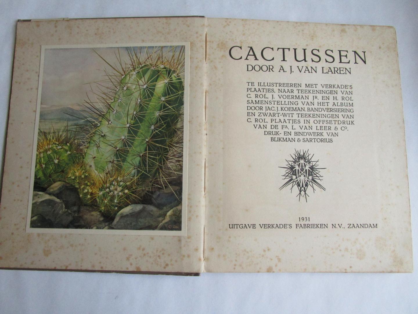 Laren, A.J. van - VERKADE 1931; Cactussen