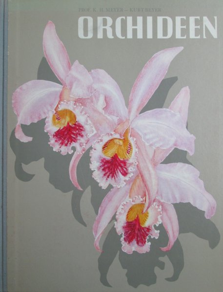 K.H. Meyer (Wort), Kurt Beyer (Bild) - Orchideen in Wort und Bild, met paginagrote afb. in kleur