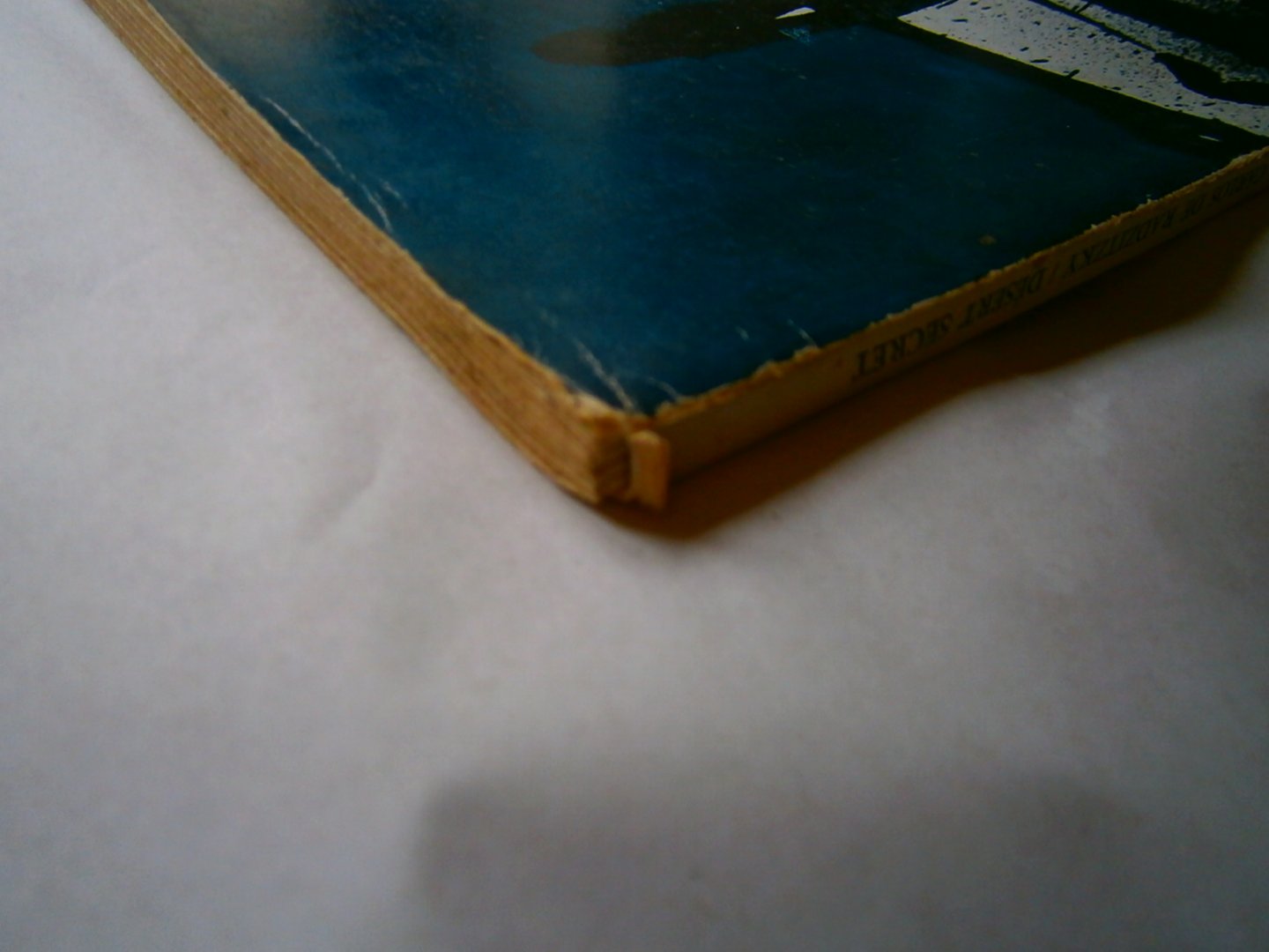 Radzitzky, Carlos de - Desert secret